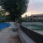 Apprt Palm Hayat